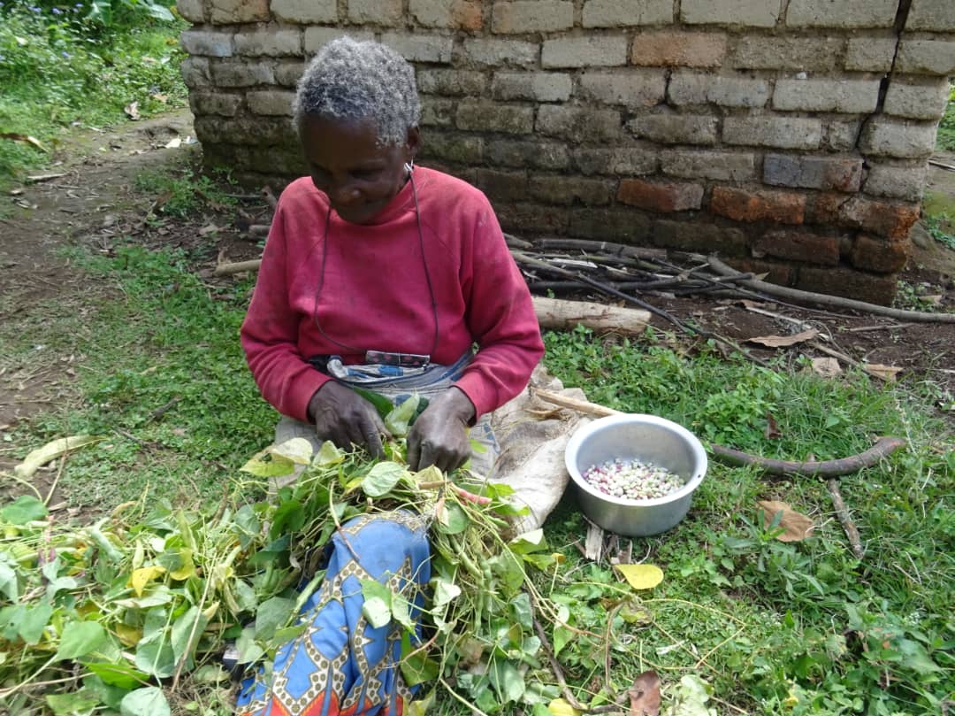 01Kftxxf5Hqpkh7P33860Hw2Kw